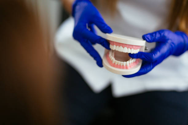Why Choose Us for Your Dental Needs in Roselawn, IN